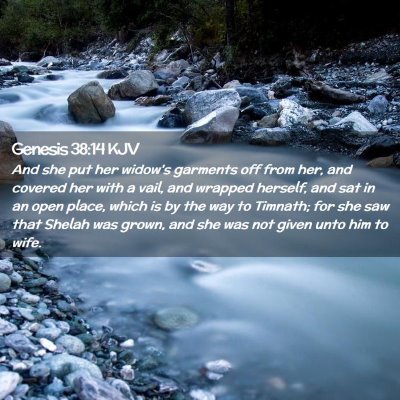 Genesis 38:14 KJV Free Bible Images