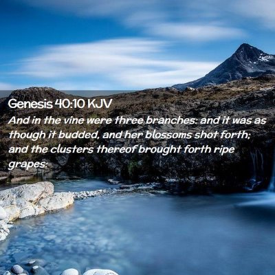 Genesis 40:10 KJV Free Bible Images