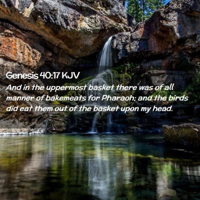 Genesis 40:17 KJV Free Bible Images