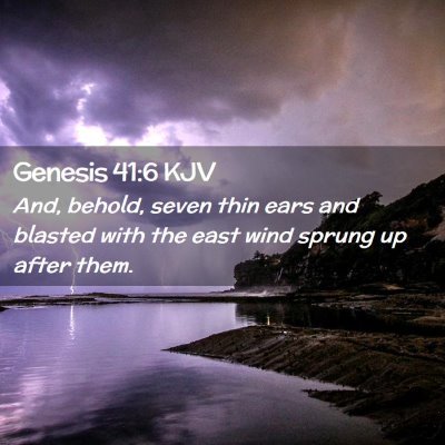 Genesis 41:6 KJV Free Bible Images