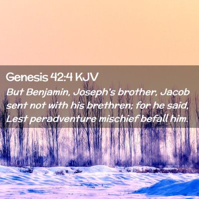 Genesis 42:4 KJV Free Bible Images