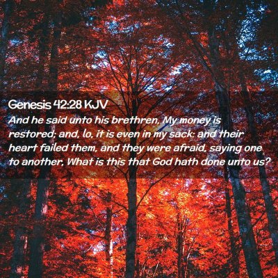 Genesis 42:28 KJV Free Bible Images