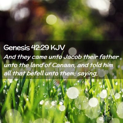 Genesis 42:29 KJV Free Bible Images