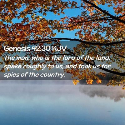 Genesis 42:30 KJV Free Bible Images