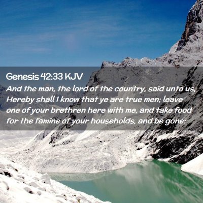 Genesis 42:33 KJV Free Bible Images