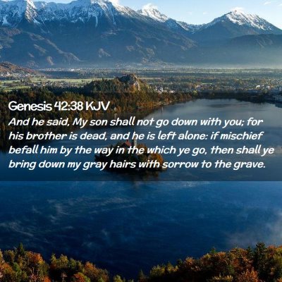 Genesis 42:38 KJV Free Bible Images