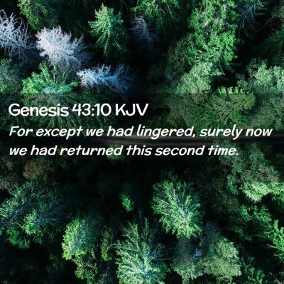 Genesis 43:10 KJV Free Bible Images