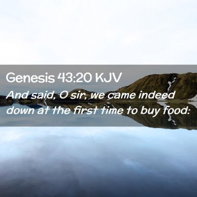 Genesis 43:20 KJV Free Bible Images