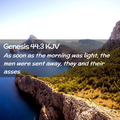 Genesis 44:3 KJV Free Bible Images