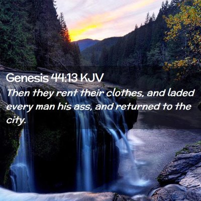 Genesis 44:13 KJV Free Bible Images