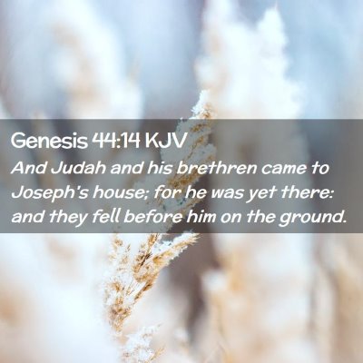 Genesis 44:14 KJV Free Bible Images