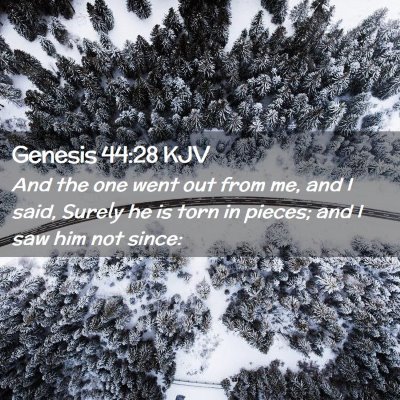 Genesis 44:28 KJV Free Bible Images