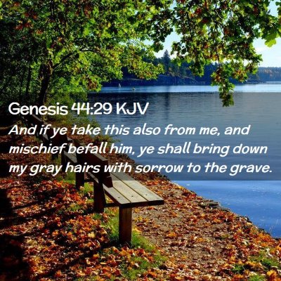 Genesis 44:29 KJV Free Bible Images