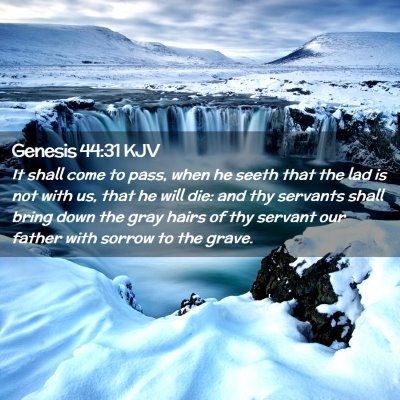 Genesis 44:31 KJV Free Bible Images