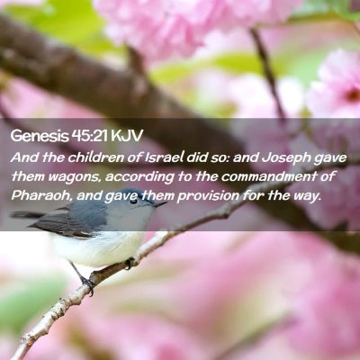 Genesis 45:21 KJV Free Bible Images