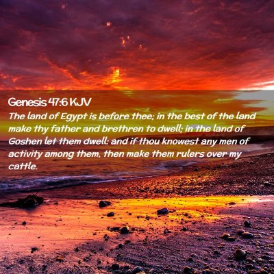 Genesis 47:6 KJV Free Bible Images