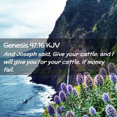 Genesis 47:16 KJV Free Bible Images