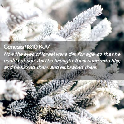 Genesis 48:10 KJV Free Bible Images