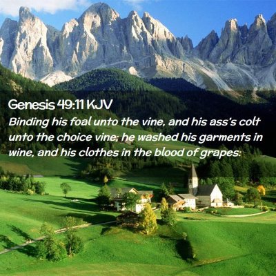 Genesis 49:11 KJV Free Bible Images