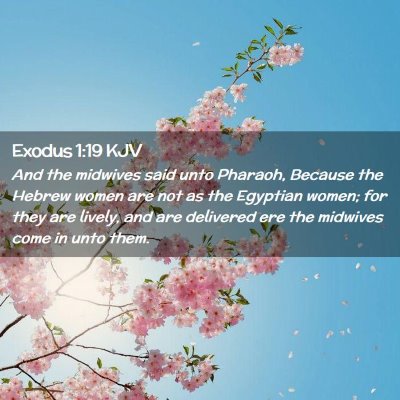 Exodus 1:19 KJV Free Bible Images