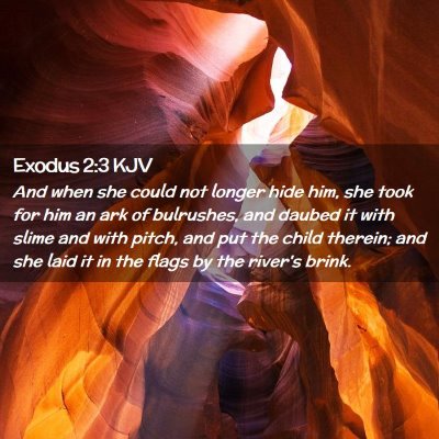 Exodus 2:3 KJV Free Bible Images