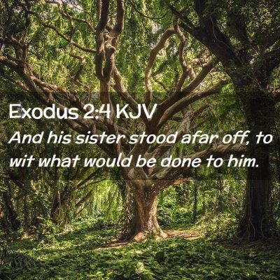 Exodus 2:4 KJV Free Bible Images