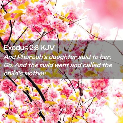 Exodus 2:8 KJV Free Bible Images