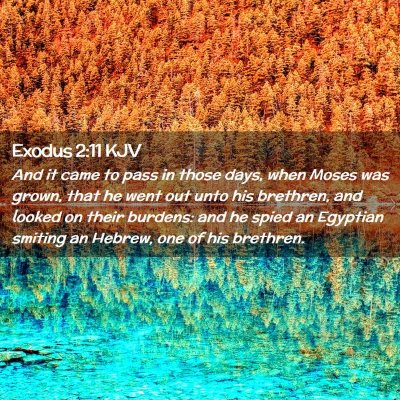 Exodus 2:11 KJV Free Bible Images