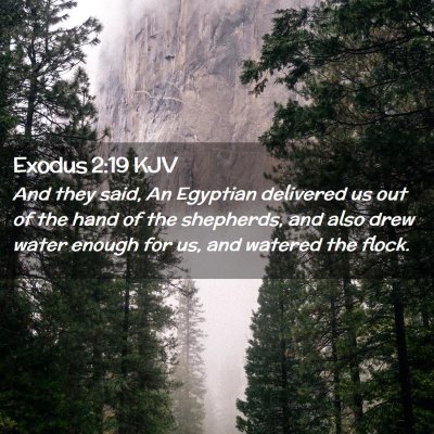 Exodus 2:19 KJV Free Bible Images