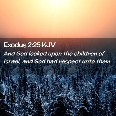 Exodus 2:25 KJV Free Bible Images