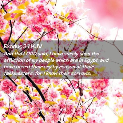 Exodus 3:7 KJV Free Bible Images