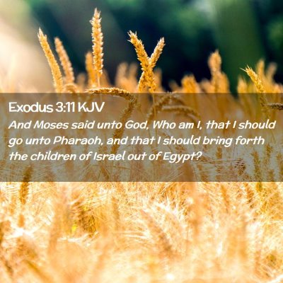 Exodus 3:11 KJV Free Bible Images