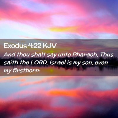 Exodus 4:22 KJV Free Bible Images