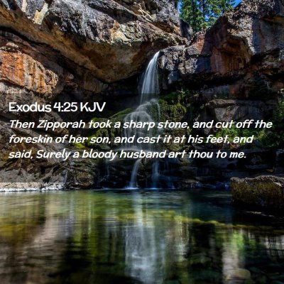 Exodus 4:25 KJV Free Bible Images