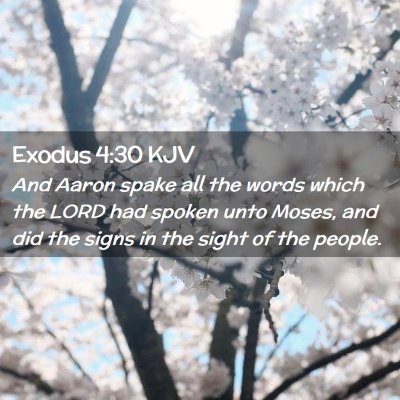 Exodus 4:30 KJV Free Bible Images