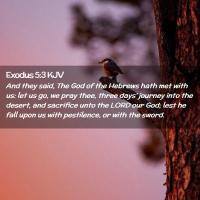 Exodus 5:3 KJV Free Bible Images