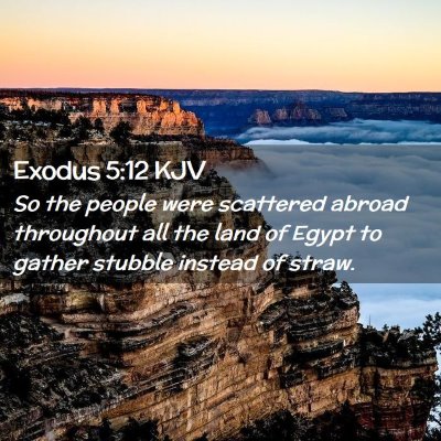 Exodus 5:12 KJV Free Bible Images