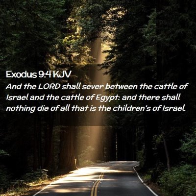 Exodus 9:4 KJV Free Bible Images