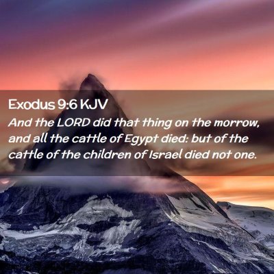 Exodus 9:6 KJV Free Bible Images