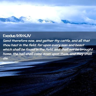 Exodus 9:19 KJV Free Bible Images