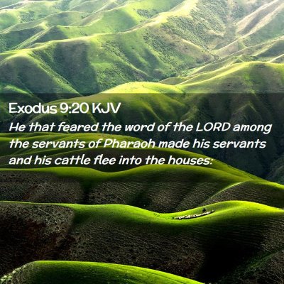 Exodus 9:20 KJV Free Bible Images