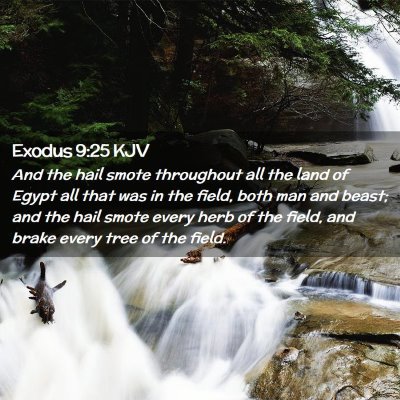 Exodus 9:25 KJV Free Bible Images