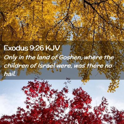 Exodus 9:26 KJV Free Bible Images