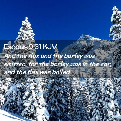 Exodus 9:31 KJV Free Bible Images