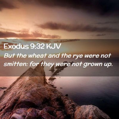 Exodus 9:32 KJV Free Bible Images