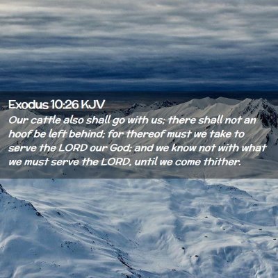 Exodus 10:26 KJV Free Bible Images