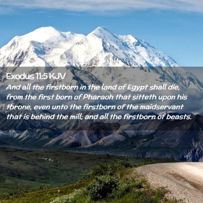 Exodus 11:5 KJV Free Bible Images