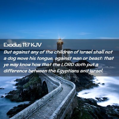 Exodus 11:7 KJV Free Bible Images