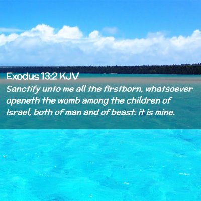 Exodus 13:2 KJV Free Bible Images