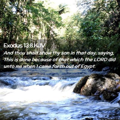 Exodus 13:8 KJV Free Bible Images